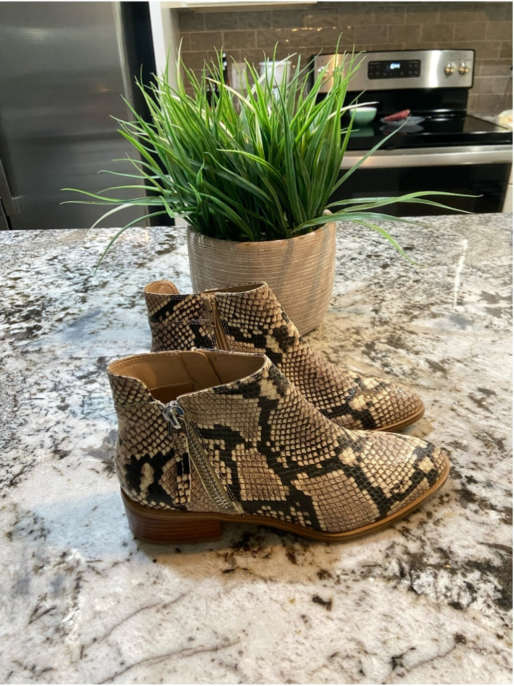 Aldo Snake-Print Ankle Boots in Neutral Tones - Picture 3 of 6